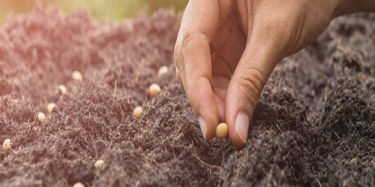 शेतकरी बांधवांनी पेरणीची घाई न करण्याचे कृषि विभागाचे आवाहन