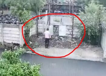 धक्कादायक! पोलीस कर्मचाऱ्याने रागात विजेच्या डीपीत हात घातला अन्… घटना CCTV कैद