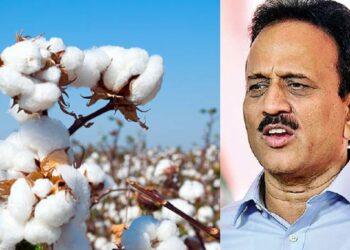 कापूस दराबाबत गिरीश महाजांनी मांडल मत ; म्हणाले..