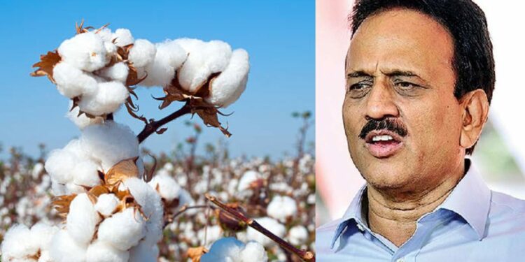 कापूस दराबाबत गिरीश महाजांनी मांडल मत ; म्हणाले..