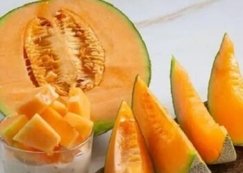 खरबूज आरोग्यासाठी खुप लाभदायक ! खाण्याचे ‘हे’ 6 फायदे जाणून घ्या