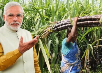 मोदी सरकारने घेतला ऊस उत्पादक शेतकऱ्यांसाठी मोठा निर्णय, वाचून व्हाल खुश..