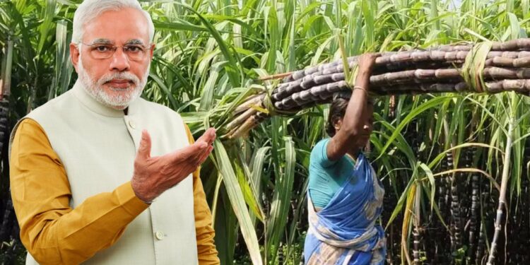 मोदी सरकारने घेतला ऊस उत्पादक शेतकऱ्यांसाठी मोठा निर्णय, वाचून व्हाल खुश..