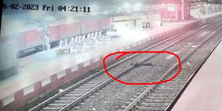 ट्रेन येत असल्याचं पाहून तरुणाने रुळावर डोकं अन्.. काळजाचा थरकाप उडवणारा VIDEO एकदा बघाच