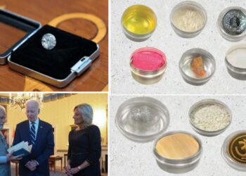 गूळ, तांदूळ, तीळ अन् हिरा..! पीएम मोदींनी आपल्या भेटवस्तूंनी जिंकलं जो बिडेनचं मन