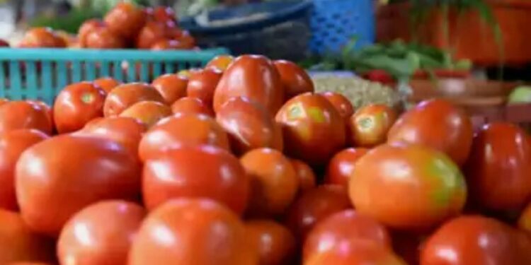 टोमॅटोच्या किमतीने ओलांडला 100 रुपयाचा टप्पा ; सरकारने सांगितले दर कधी कमी होणार?