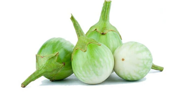 आजपासून हिरवी वांगी खाणे सुरू करा : फायदे जाणून व्हाल चकित