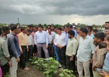 ना .गिरीष महाजन यांच्या सूचनेनुसार जिल्हाधिकारी अमन मित्तल यांच्यासह भाजपाचे अमोल शिंदे पोहोचले शेतकऱ्यांच्या बांधावर