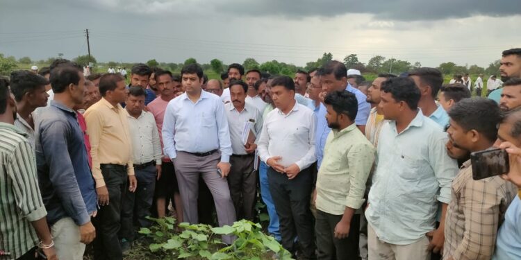 ना .गिरीष महाजन यांच्या सूचनेनुसार जिल्हाधिकारी अमन मित्तल यांच्यासह भाजपाचे अमोल शिंदे पोहोचले शेतकऱ्यांच्या बांधावर