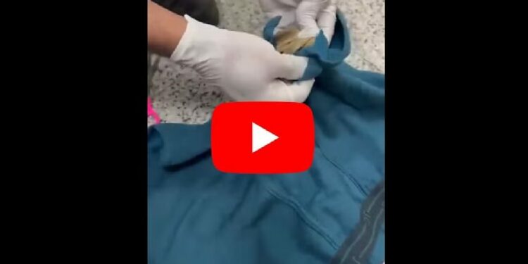 अंडरवेअरमधून सोन्याची तस्करी ; हा VIDEO पाहून तुम्हीही तस्करीवाल्याला सॅल्यूट कराल