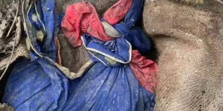 Jamner : पोत्यातून येत होती दुर्गंधी..उघडून बघताच उडाली खळबळ