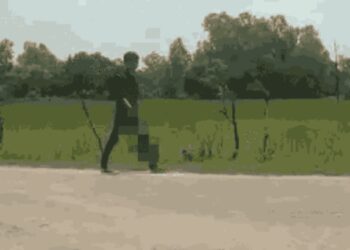 अरे बापरे!! भावाने बहिणीचे शीर केलं धडापासून वेगळं, कारण काय?