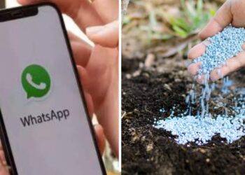 बोगस खतांना आळा घालण्यासाठी कृषी विभागाचा मोठा निर्णय; वाचा काय आहे