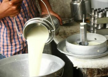 राज्य सरकारचा दुधाच्या किमतीबाबत मोठा निर्णय ! आता ‘इतका’ दर द्यावाच लागणार?