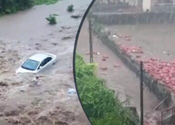 गुजरातमध्ये पावसाचा हाहाकार! कुठे सिलेंडर तर कुठे गाड्या वाहून गेल्या, पहा हे भयानक VIDEO