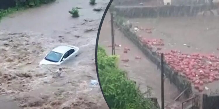 गुजरातमध्ये पावसाचा हाहाकार! कुठे सिलेंडर तर कुठे गाड्या वाहून गेल्या, पहा हे भयानक VIDEO