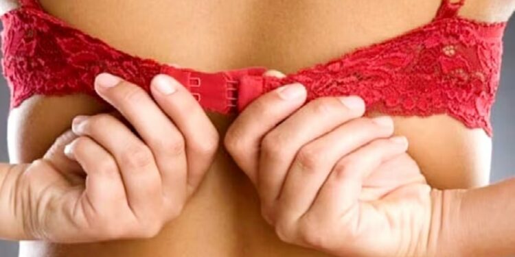 8 महिन्यांपासून महिलेचे चोरीला जात होते अंतर्वस्त्र! चोराला पकडण्यासाठी लढविली ‘ही’ शक्कल??