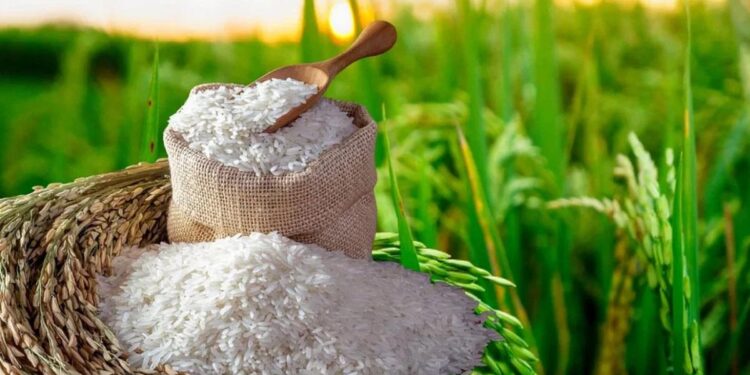 मोदी सरकारचा मोठा निर्णय! आता स्वस्तात मिळणार तांदूळ, निर्यातीबाबत घेतला हा निर्णय?