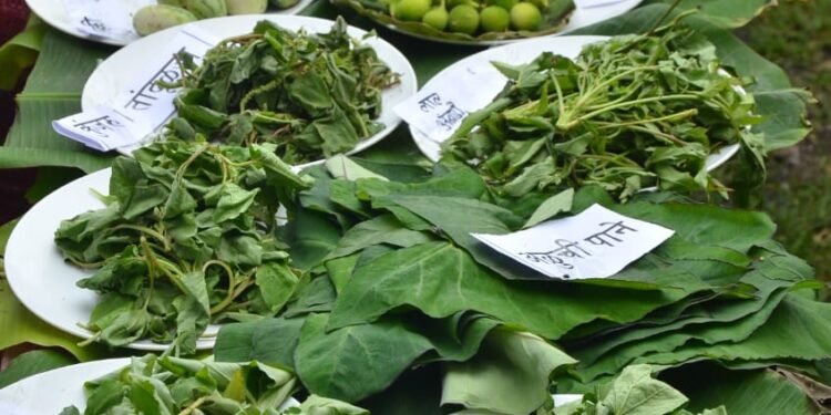 ‘या’ रानभाज्यांमध्ये आढळतात औषधी गुणधर्म…