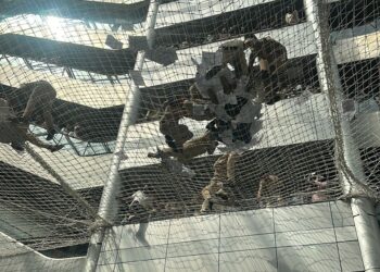 मंत्रालयातील आंदोलनाने उडाली तारांबळ ; आंदोकांनी उड्या घेतल्या, सुरक्षा जाळ्या असल्याने अनर्थ टळला…