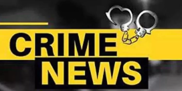 महिला तलाठीच्या कानशिलात लगावली ; अवैध वाळू वाहतूक करणारे ट्रॅक्टर अडवल्याने राग, गुन्हा दाखल