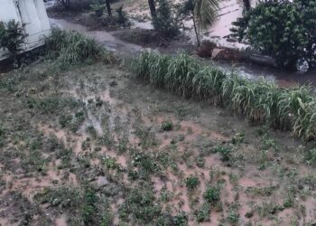 जळगावसह ‘या’ जिल्ह्यांना यलो अलर्ट ; मुसळधार पावसाची शक्यता!