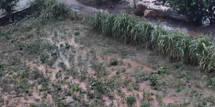 जळगावसह ‘या’ जिल्ह्यांना यलो अलर्ट ; मुसळधार पावसाची शक्यता!