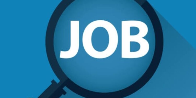 सरकारी नोकरी शोधत आहे का? या ठिकाणी ८०० जागासाठी भरती, संपूर्ण अर्ज प्रक्रिया पहा