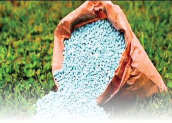 शेतकऱ्यांसाठी मोठी बातमी ; शासनाकडून सर्व प्रकारच्या खतांसाठी १०० टक्के अनुदान मिळणार