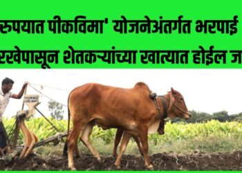 एक रुपयात पीकविमा’ योजनेअंतर्गत भरपाई ‘या’ तारखेपासून शेतकऱ्यांच्या खात्यात होईल जमा