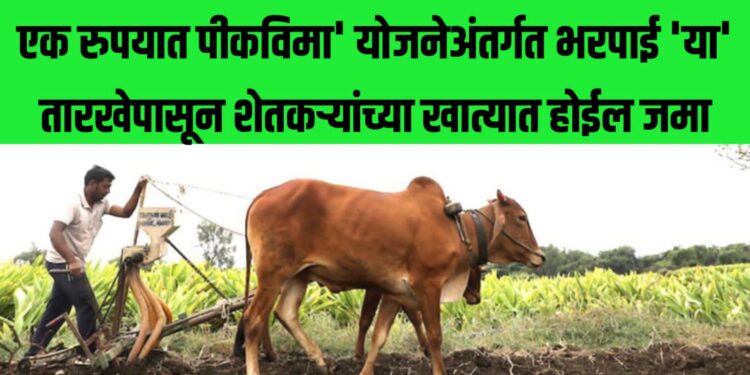 एक रुपयात पीकविमा’ योजनेअंतर्गत भरपाई ‘या’ तारखेपासून शेतकऱ्यांच्या खात्यात होईल जमा