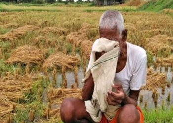 राज्यात अवकाळी पावसाने झालेल्या नुकसानाने अंदाजे ९९ हजार ३८१ हेक्टर क्षेत्रात नुकसान