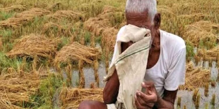 राज्यात अवकाळी पावसाने झालेल्या नुकसानाने अंदाजे ९९ हजार ३८१ हेक्टर क्षेत्रात नुकसान