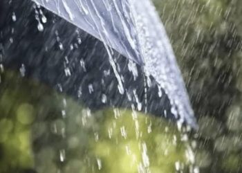 आणखी ३ दिवस राज्यात पाऊस ; ‘या’ १४ जिल्ह्यामध्ये मुसळधार पावसाचा इशारा