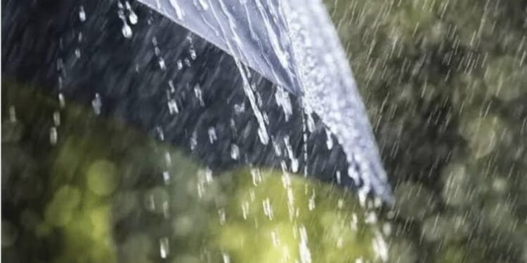आणखी ३ दिवस राज्यात पाऊस ; ‘या’ १४ जिल्ह्यामध्ये मुसळधार पावसाचा इशारा