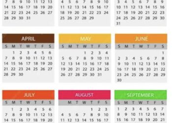 पुढील वर्षीच्या २०२४ मधील सार्वजनिक सुट्ट्यांची यादी राज्य सरकारने केली जाहीर ; संपूर्ण यादी वाचा