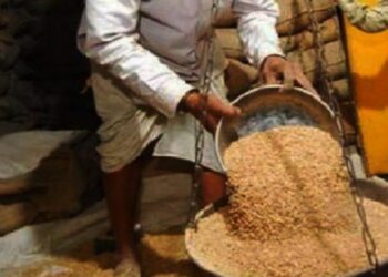 ‘या’ लाभार्थ्यांना पुढील ५ वर्षासाठी मोफत अन्नधान्य मिळणार ; केंद्र सरकारचा मोठा निर्णय