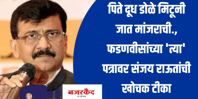पिते दूध डोळे मिटूनी जात मांजराची., फडणवीसांच्या ‘त्या’ पत्रावर संजय राऊतांची खोचक टीका