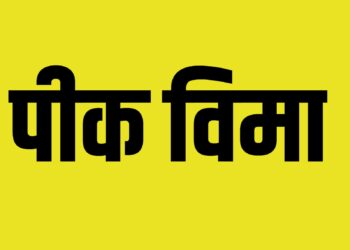आंबा, काजू, संत्रा फळपिकांसह ज्वारीचा पीकविमा ४ व ५ डिसेंबर रोजी भरता येणार