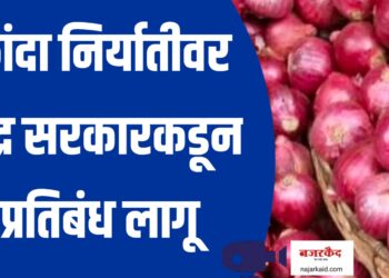महत्वाची बातमी ; कांदा निर्यातीवर केंद्र सरकारकडून प्रतिबंध लागू 