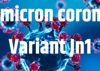 Omicron corona Variant Jn1; कोरोनाच्या नव्या व्हेरिंएटने टेन्शन वाढवलं,२९२ रुग्णांची नोंद तर ४५ सक्रिय रुग्ण