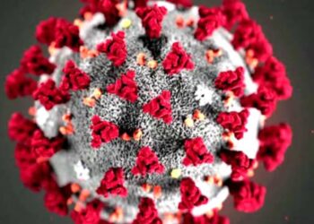 जळगावात कोरोनाचा पाहिला रुग्ण आढळला ; संपर्कातील १४ जणांची केली कोव्हीड तपासणी