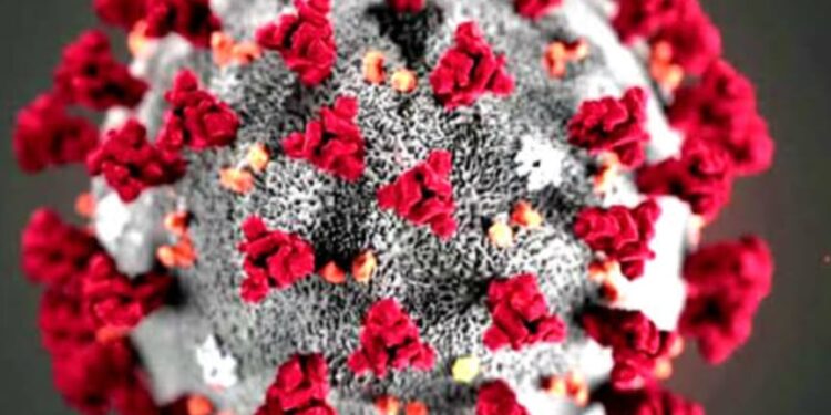 जळगावात कोरोनाचा पाहिला रुग्ण आढळला ; संपर्कातील १४ जणांची केली कोव्हीड तपासणी