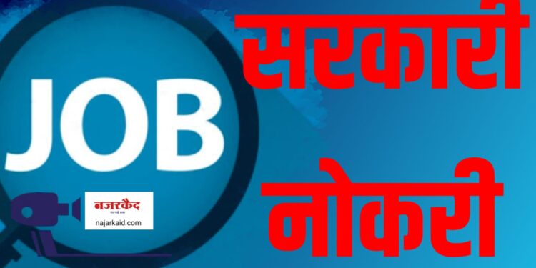 शासनाच्या पुरवठा विभागात पदभरती ;  जळगाव जिल्ह्यात ९ निरीक्षक सेवेत दाखल होणार