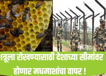 शत्रूला रोखण्यासाठी देशाच्या सीमांवर होणार मधमाशांचा वापर !