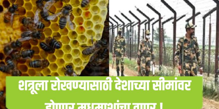 शत्रूला रोखण्यासाठी देशाच्या सीमांवर होणार मधमाशांचा वापर !