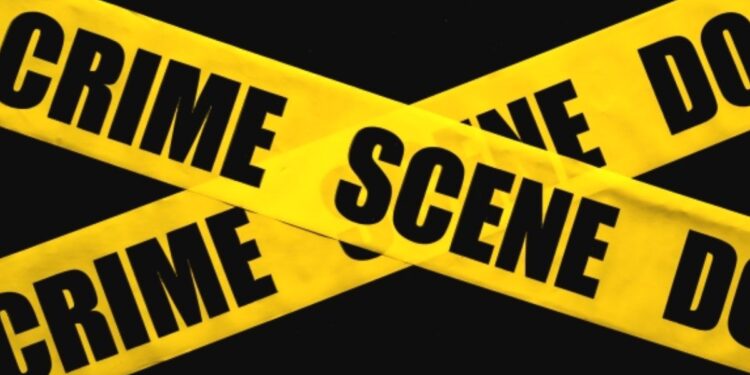 भांडणाचा राग घरात घुसून बहीण भावावर चॉपरने केले वार; जळगावातील घटना