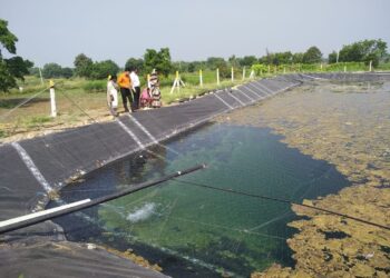 राज्यात ६ हजार ७२ शेततळी पूर्ण; ४१ कोटी ६० लाख रुपये अनुदान वाटप