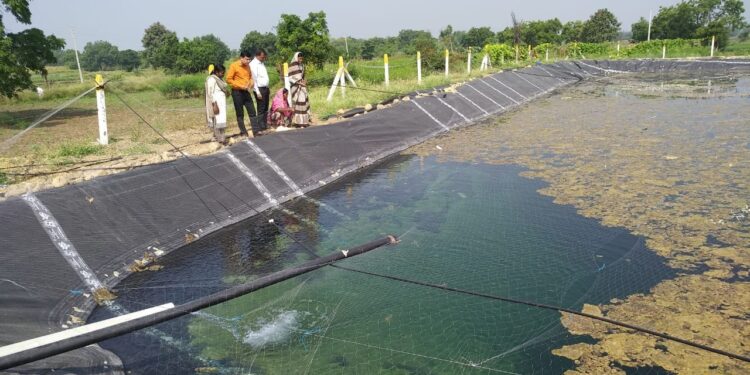 राज्यात ६ हजार ७२ शेततळी पूर्ण; ४१ कोटी ६० लाख रुपये अनुदान वाटप