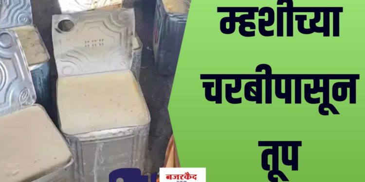 म्हशीच्या चरबीपासून तूप बनवण्याचा कारखाना उद्धवस्त ; मुंबईतून संतापजनक प्रकार उघडकीस, गुन्हा दाखल